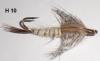 nymphe nageante de mouche de mai (nymphe)