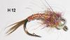 pearl rainbow warrior (nymphe bille)