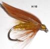 nymphe ailée de mouche de bouse de vache (mouche noyée)