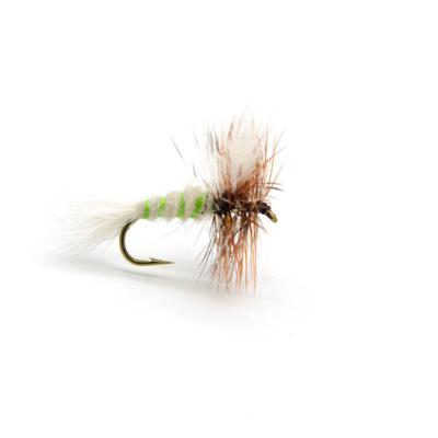 Ausable Wulff (mouche seche)