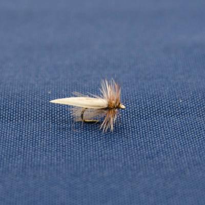 imitation de trichoptère en herls de plume retournés (mouche seche)