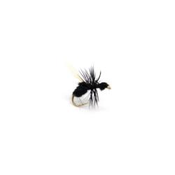 fourmi noire ailée (mouche diverse)