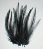 plume de cou de coq (hackle) en vrac