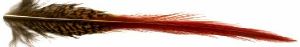 plume rouge de queue de faisan dore (paire) 
