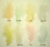 marabout : plumes coloris pastel