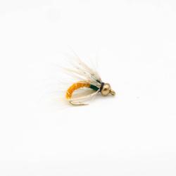 le bug casqué orange (nymphe bille)