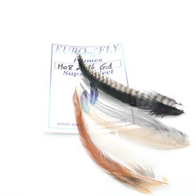 Hackles Super Select de cou de coq génétique Grade 1 Euro-Fly pour H08 à 14