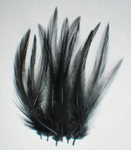 plume de cou de coq (hackle) en vrac