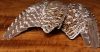 sharptail (tetras a queue fine) : paire d'ailes