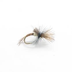 challenged pheasant tail (mouche émergente)