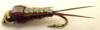 nymphe de mouche de pierre dos en flashback (nymphe bille)