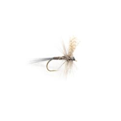 Gordon quill traditionnelle (mouche seche)