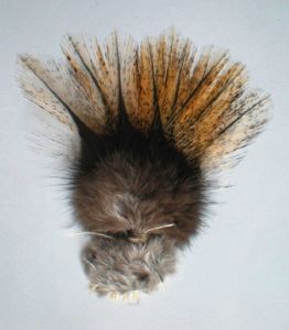 pardo : plumes de pelles de coq du Leon, flor de escoba