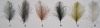 plume de cul d'oie (cdo)