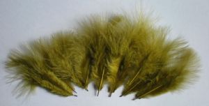 marabout : plumes de mini marabout