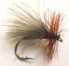 sedge léger en quill de paon ébarbé (mouche sèche)