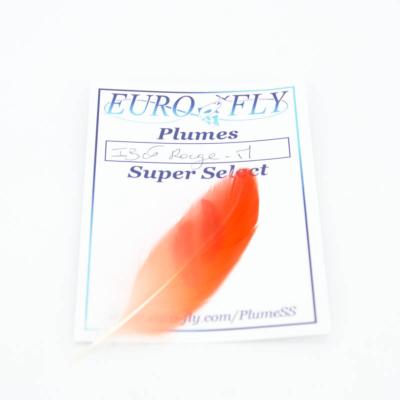 véritable ibis rouge Super Select - taille medium