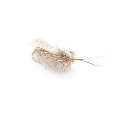 sedge à draguer gris (mouche sèche)