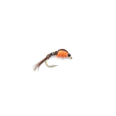 Cove's pheasant tail (nymphe)