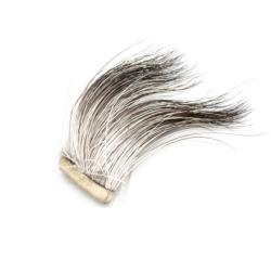 orignal : poils de crinière
