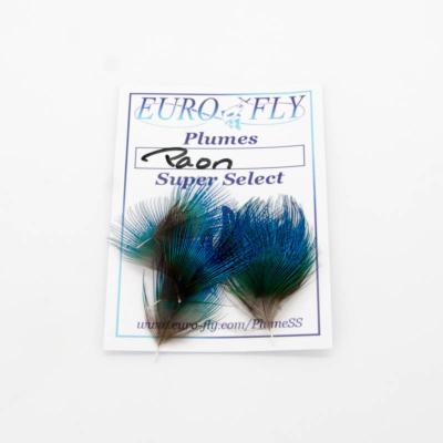 Plumes bleues de cou de paon Super Select