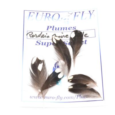 Plumes de flanc de perdrix noire mâle Super Select