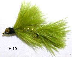 larve de libellule olive (nymphe)