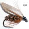 coachman ailée noyée (mouche noyée)