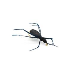 coleoptere realiste en mousse noire (mouche diverse)