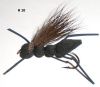 criquet en mousse (mouche diverse)