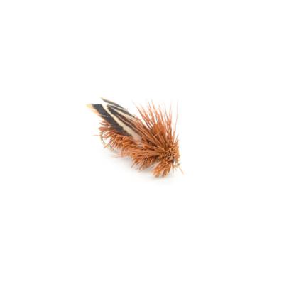 sedge à draguer marron (mouche sèche)