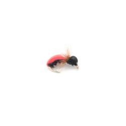 coleoptere Rouge en mousse (mouche diverse)
