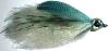 dame blanche bleue (mouche mer et carnassier)