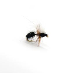 fourmi noire post en cdc blanc (mouche diverse)