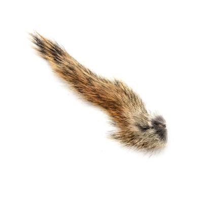 écureuil : queue naturelle rousse