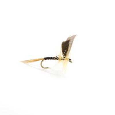 ginger quill avec ailes (mouche seche ailee)