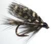 beauty guinea (mouche noyee)