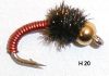 brassie rouge (nymphe bille)
