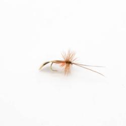 Saville super sedge cinnamon (mouche seche)