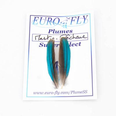 Plumes bleues d'ailes de martin pêcheur Super Select