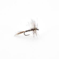 moustique chironome adulte (mouche seche sans ardillon)
