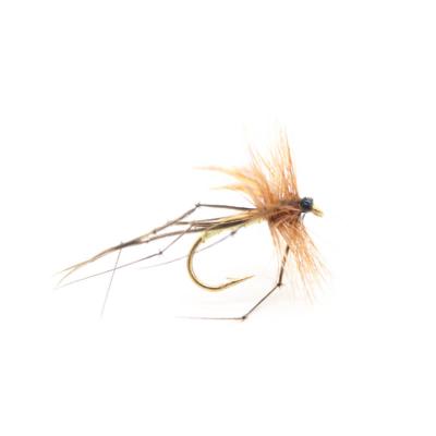 daddy long legs, tipule, cousin (mouche diverse)