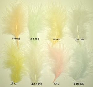 marabout : plumes coloris pastel