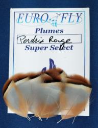 plumes de corps de perdrix française Super Select