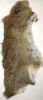 demi peau de lapin de garenne tannee souple