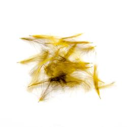 cul de canard (cdc) grade 2 (7coloris)