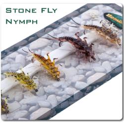assortiment de 5 nymphes de stonefly ultra-réalistes (nymphe)