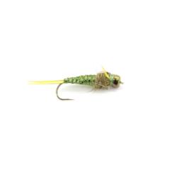 nymphe stonefly olive tissée bille rainbow (nymphe bille)