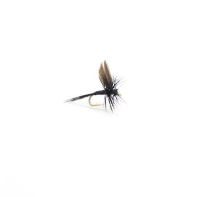 moucheron noir ailé black midge (mouche seche ailee)