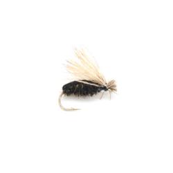 scarabée noir volant (mouche diverse)